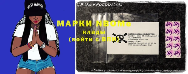 индика Покров