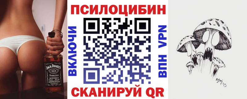 Псилоцибиновые грибы мицелий  Кирсанов 